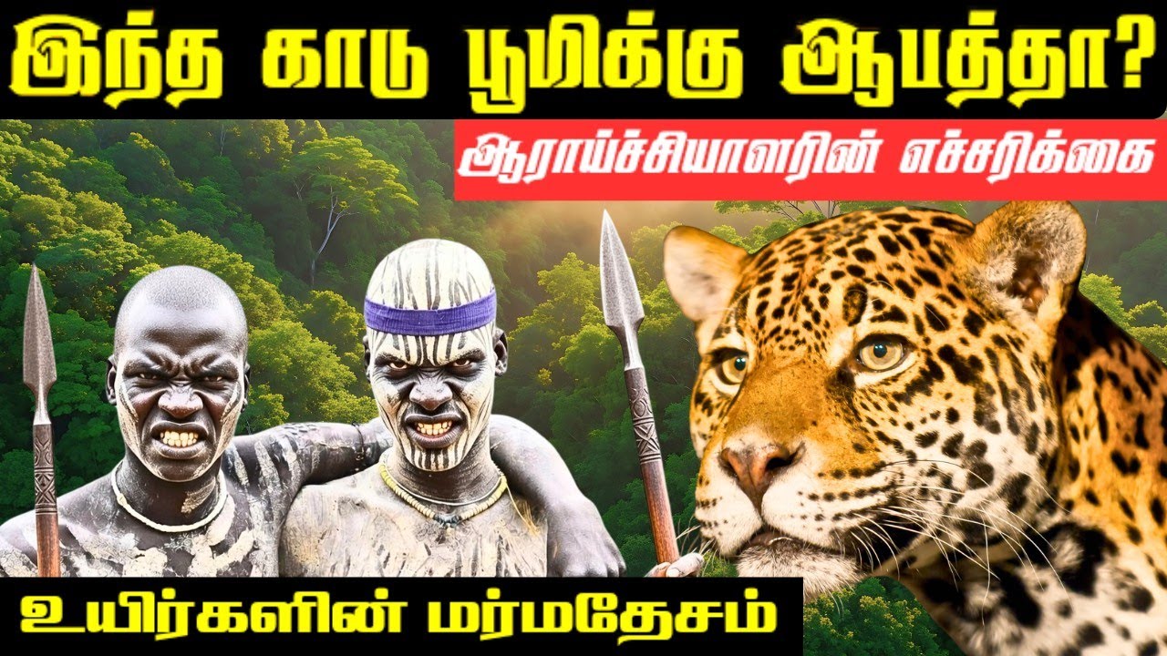 😳இந்தக் காடு பூமிக்கு ஆபத்தானதா? இதன் அழிவின் காரணம்?🌳 Amazon Rainforest Documentary Tamil.|அமேசான்|