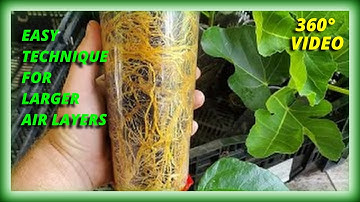 (360° video) Easy technique for larger air layers.