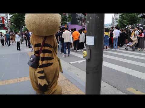 JHKTV]  shin chon special <strong>cat</strong> Life is <strong>not</strong> easy신촌 명물고양이 삶이쉽지않어