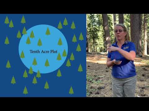 Forest Inventory Part 3: Plot Establishment Tools