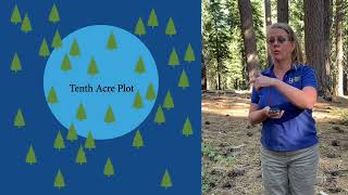 Celebrity Forest Inventory Part 3: Plot Establishment Tools Profile