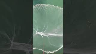 Amazing net-casting technique!