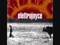 Elettrojoyce - Aliante
