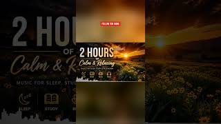 Soothing Forest Rain Sounds for Deep Sleep & Relaxation (6 hours) 🎵 #Shorts