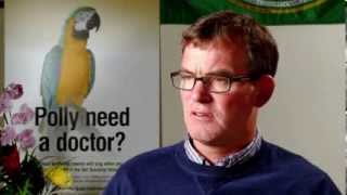 Shared Values - College of Veterinary Medicine and Biomedical Sciences