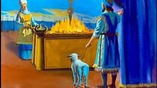 Уроки Торы. Недельная глава Торы Ваикра. 5776 г. Рав Даниэль Булочник. Уроки Торы. Недельная глава Торы Ваикра. 5776 г. Рав Даниэль Булочник.