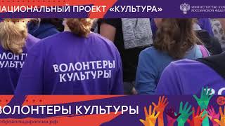 Волонтеры Культуры Пермь, ул  Революции