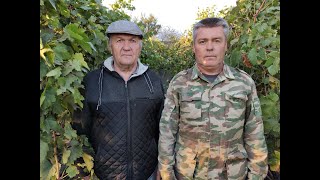 видео: НА ВИНОГРАДНИКЕ У ДРУГА! 🍇🍇🍇 часть 2 09.10.2023.Тел.+79054033245, WhatsApp и Viber +79528500417. картинка: НА ВИНОГРАДНИКЕ У ДРУГА! 🍇🍇🍇 часть 2 09.10.2023.Тел.+79054033245, WhatsApp и Viber +79528500417.