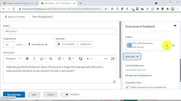 Creating Brightspace Assignments