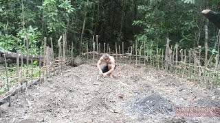 Primitive Technology: Planting Cassava and Yams