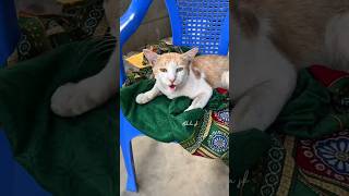 ഞൻ പറയനനത കടട നനനൽ നനകക കളള