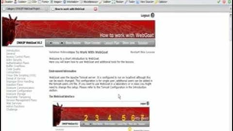 SSQ: Webgoat, software application testing tutorial