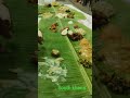 #South Indian khana#viral video#Yelahanka#like and subscribe and comment