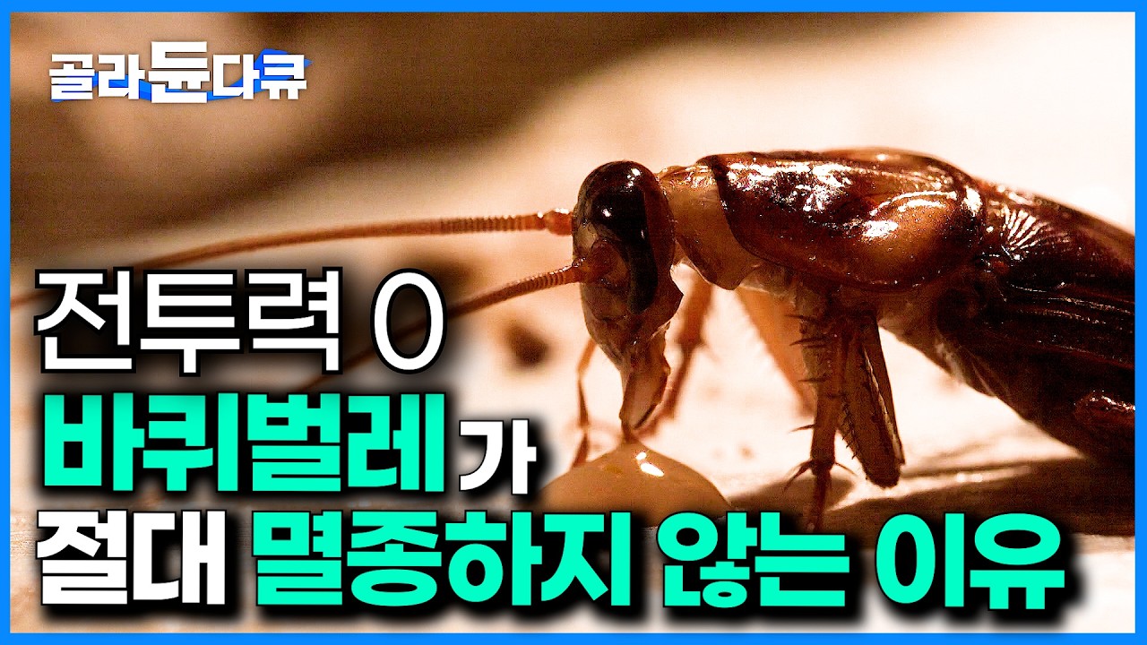 3억 5천만년을 살아남은 바퀴벌레의 충격적인 생존 전략｜거미줄에 걸린 바퀴벌레의 운명｜바퀴벌레 박멸하기 힘든 이유｜다큐프라임｜#골라듄다큐