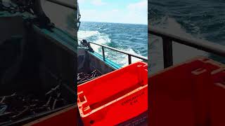 Steaming home off Brixham