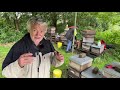 Live von Pias Bienenstand 29.8.21