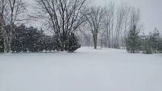 Slow motion snow fall January 18th 2020 Branch, WI