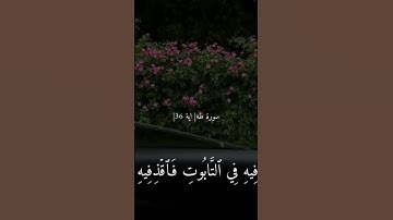 #القرآن_الكريم #اكسبلور #quran #القرآن #لايك #تلاوة_هادئة #تيك_توك