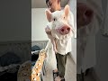 これ久しぶりにやるわ #豚 #赤ちゃん