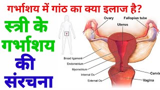 structure of uterus , internal structure of uterus , garbhashay ki sanrachna , गर्भाशय की संरचना