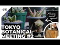 【TOKYO BOTANICAL MEETING #2】植物系Youtuberが集結したあのイベントで過去最大のお迎えに大興奮｜ビカクシダ/アガベ/塊根