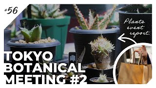 【TOKYO BOTANICAL MEETING #2】植物系Youtuberが集結したあのイベントで過去最大のお迎えに大興奮｜ビカクシダ/アガベ/塊根