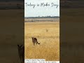 Today is Mabo Day