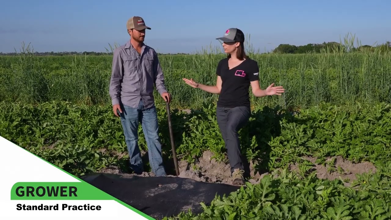 Ep. 7: Watermelon Results at JDI Farms