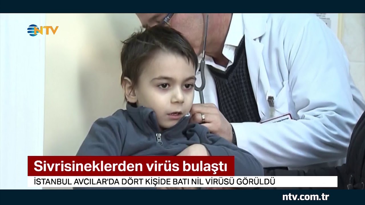 İstanbul'da sivrisineklerden 4 kişiye Batı Nil Virüsü bulaştı