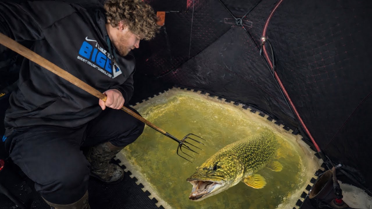 Самая большая щука, которую я когда-либо подстрелил! | Darkhouse Spearing, Миннесота