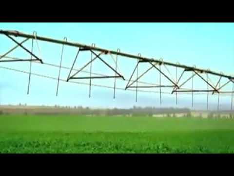 تحيا بينا تحيا مصر