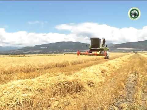 შპს \"მექანიზატორი\" კონფლიქტისპირა სოფლებში