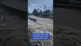 This is what 10 inches of rain in Los Angeles looks like