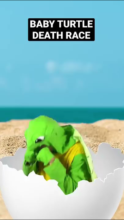 Baby turtle death race #shorts