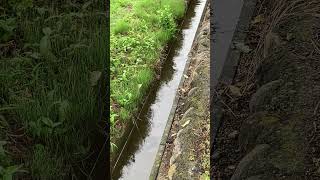 IMG 4743
