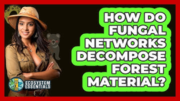 How Do Fungal Networks Decompose Forest Material? - Ecosystem Essentials