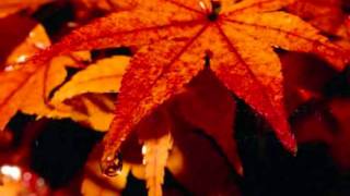 Sia - I go to sleep