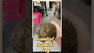 😱 தவளை-Frog | உலகின் மிகப்பெரிய சயின்டிஸ்ட் செய்த அதிசய காரியம் 😲 | Tamil Shorts #Trending #Science