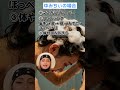 【ゆみちぃの場合】夜🌙のスキンケアルーティンを教えて‼️【ゆきぽよTV！】