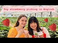 Try strawberry picking in English