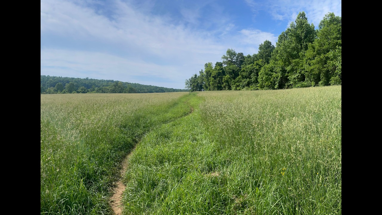 To make a donation, visit our website at https://firstchurchofmilford.org/giving/

10:00 AM Worship service on Sunday is live-streamed on LocalLive TV 
https://3850-first-united-church-of-christ.livecontrol.tv/

If you would like to donate and help with our online live-streaming costs, you can mail your check to First United Church of Christ, 34 W. Main St, Milford, CT 06460.  Please note "for live-streaming" in memo line.  Thank you!
 
Music Reprinted, Performed and Used with Permission Under:  
CCLI 4483136, One- License A-134621, 
WorshipCast and PerformMusic 14088