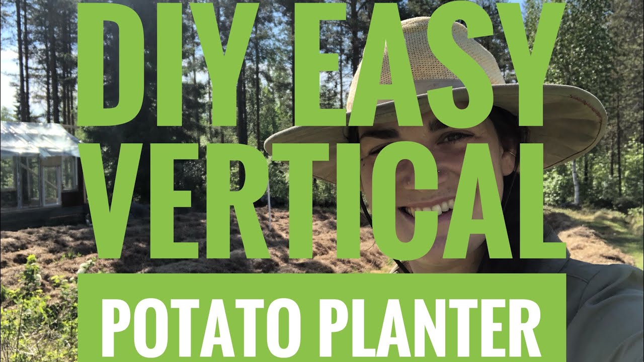 DIY Easy VERTICAL potato PLANTER