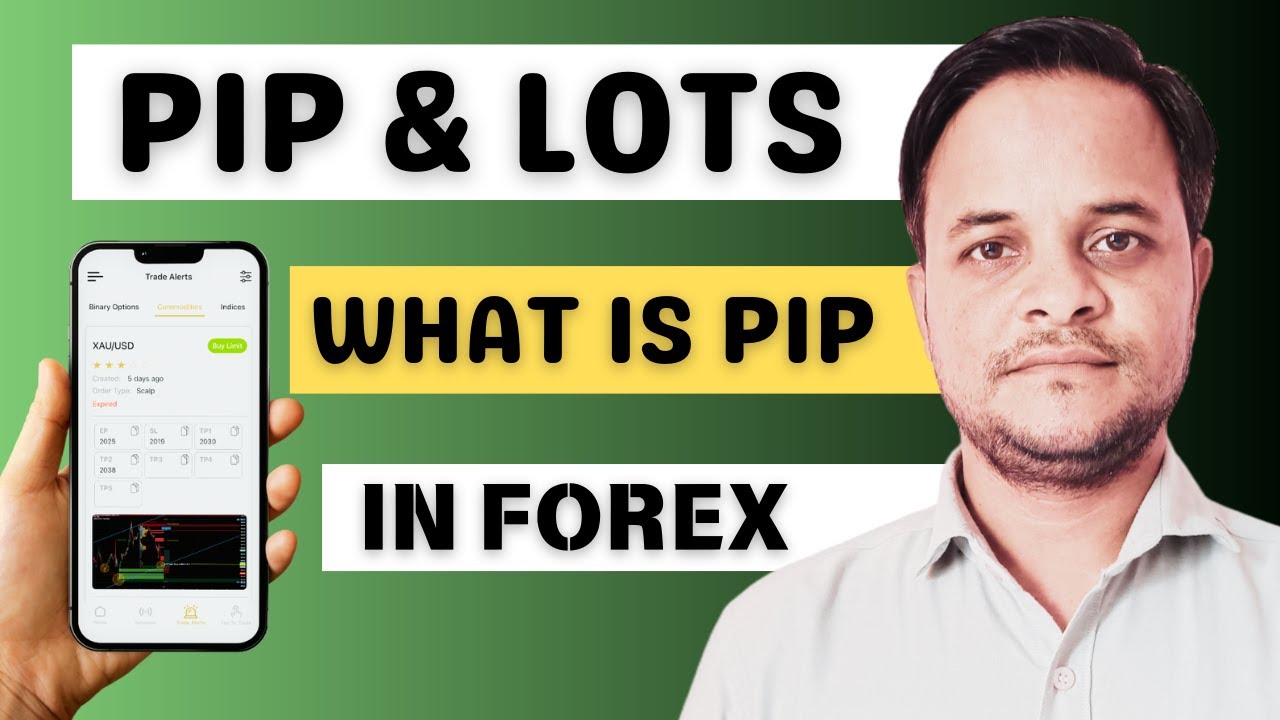 pip-kya-hai-forex-trading-kaise-start-karey-meta-trader-octafx-broker