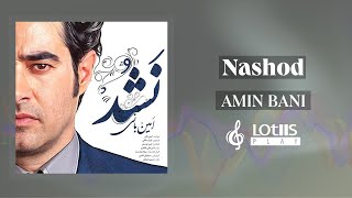 Amin Bani - Nashod | امین بانی - نشد Resimi