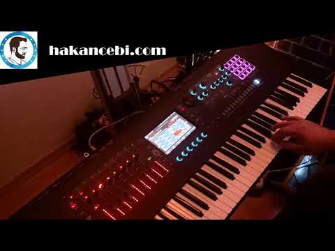 Hakan Çebi -