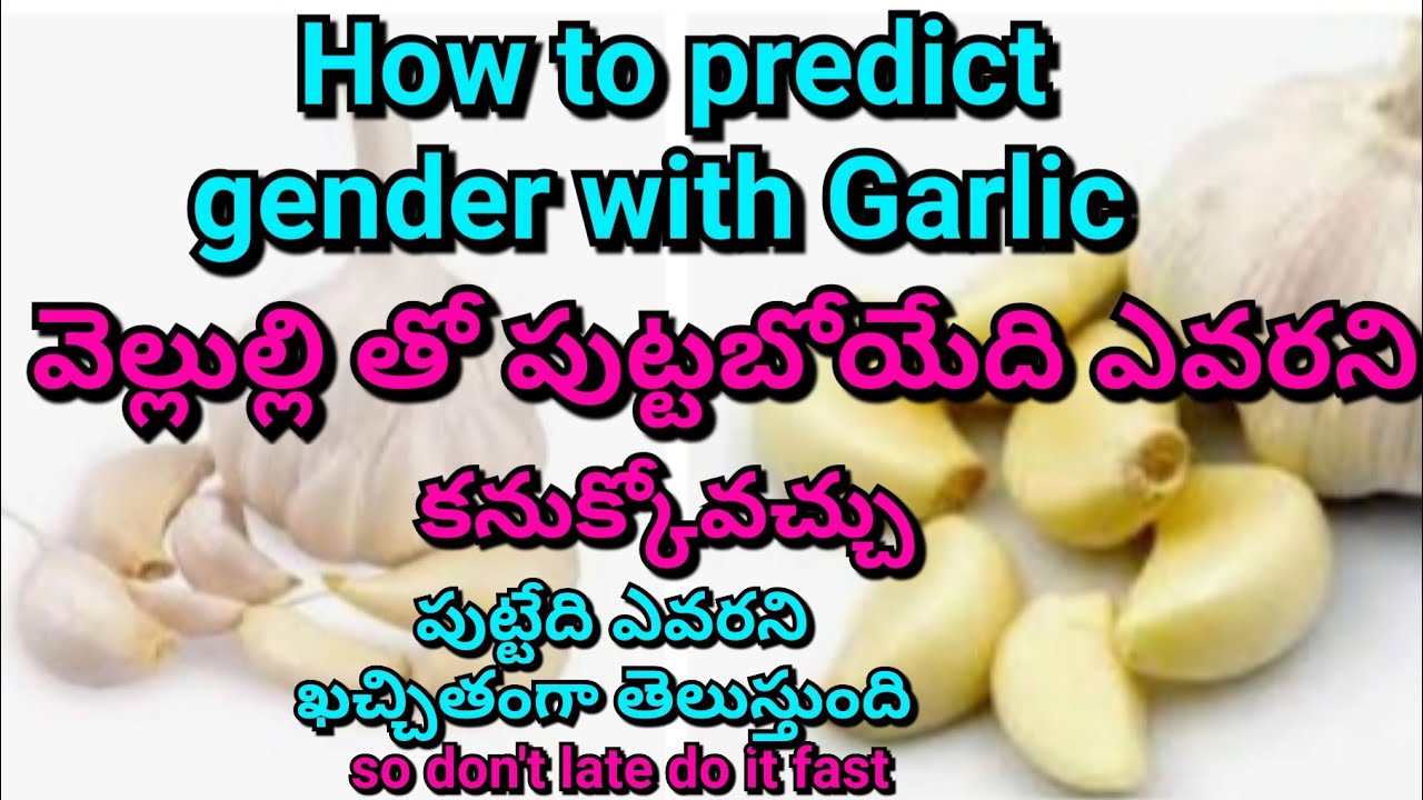Garlic Test in pregnancy in teluguGender prediction Test with Garlic