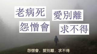 15. 生死事大 -- 苦聖諦