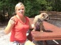 Dog Training in Sarasota | Teaching Your Small Dog to Lay Down Dog Training in Sarasota | Teaching Your Small Dog to Lay Down
