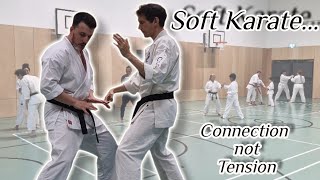 Soft, Rooted Karate... techniques and ideas to work on connection, not tension ! screenshot 4