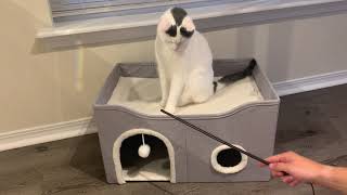 VERY Easy Assembly With This Cat House! The Perfect Size!